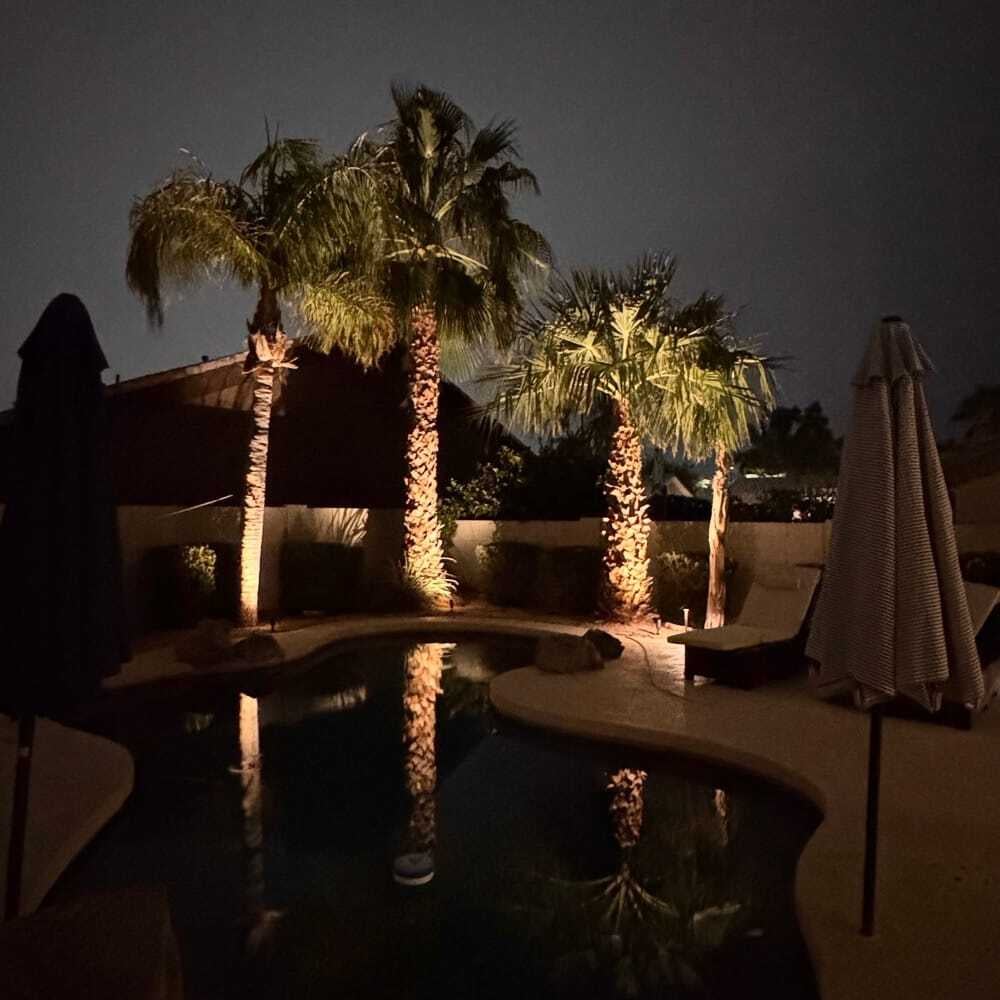 palm_trees_and_pool_lighting_install